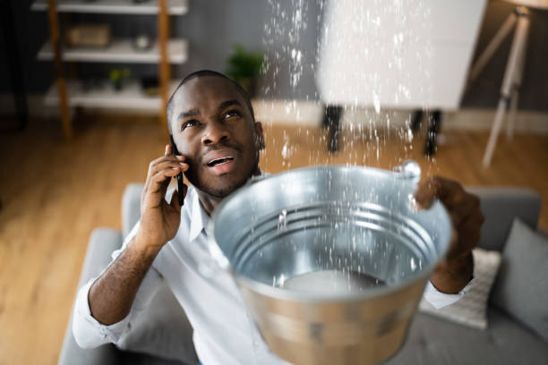 Best Sewage cleanup and water damage restoration  in Woodworth, OH