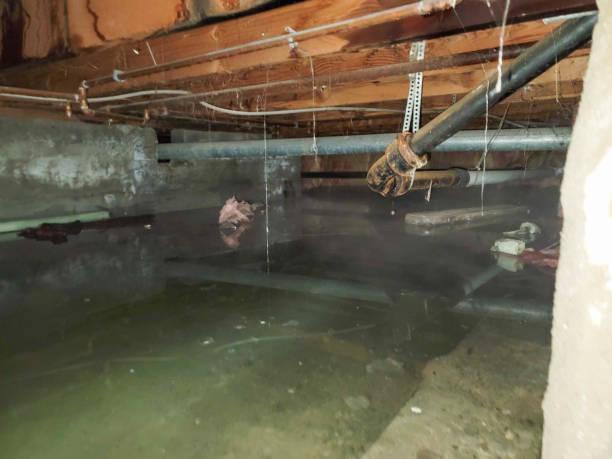 Best Emergency water damage restoration  in Woodworth, OH