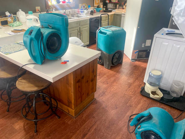 Best Flood damage cleanup  in Woodworth, OH