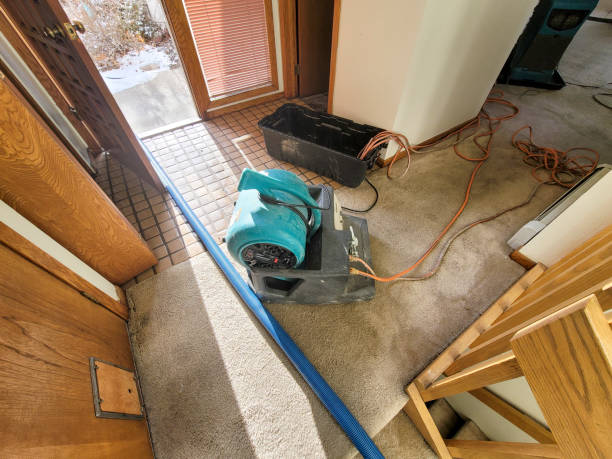 Best Water damage restoration near me  in Woodworth, OH