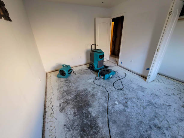 Best Water damage cleanup near me  in Woodworth, OH