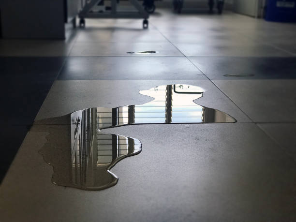 Best Professional water damage repair  in Woodworth, OH
