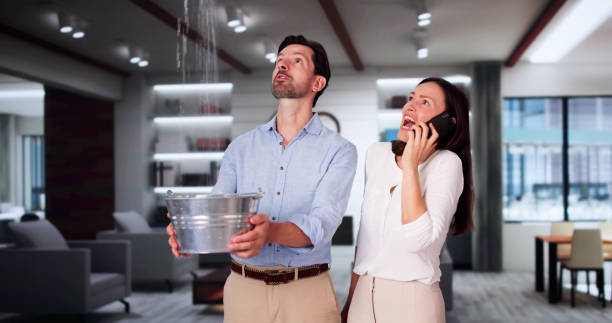 Best Fire Damage Restoration  in Woodworth, OH