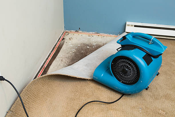 Best Water damage contractors near me  in Woodworth, OH